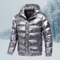 Herren Winterjacke | Glänzende Steppjacke Mit Kapuze – Silber