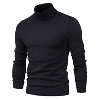 Harvey - Eleganter Rollkragenpullover – Schwarz