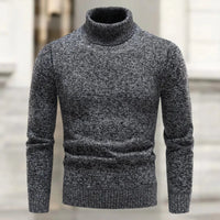 Rikiel - Rollkragenpullover für mühelose Eleganz – Grau