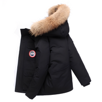 Crosby - Herrenjacke mit Kapuze – Schwarz / Braun