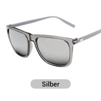 PolarBlick™ Augensicher Helligkeitskontrolle – Silber