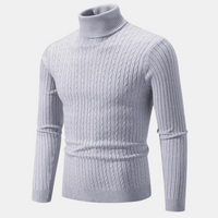 Larry | Stylischer Rollkragenpullover – Hellgrau