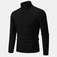 Larry | Stylischer Rollkragenpullover – Schwarz