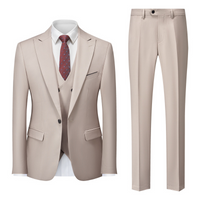 Herren Klassisch Stylisch Hochzeitsgast Anzug Set | Zweiteilig – Beige