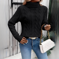 Amélie - Komfortabler Rollkragenpullover – Schwarz