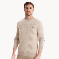 Strickpullover Herren Gestreift Kariert – Beige