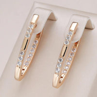 Elegante Zirkonia-Ohrringe in Gold – Gold
