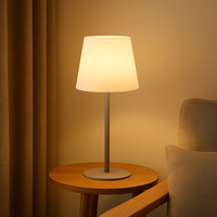 LumiGlow – Kabellose wiederaufladbare Lampe mit einstellbarer warmen Beleuchtung – Grau