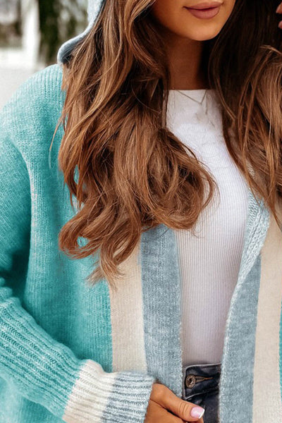 Poirinae | Winter Eleganz Kapuzen-Cardigan