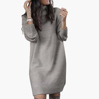 Damen Pulloverkleid mit Rollkragen – Grau