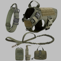 Rex 6-in-1 Sommer Hunde-Geschirr- und Leinen-Set | Professionelles Spazier- und Trainingsset für Ihren Hund – Grüner 6-in-1 compleet set