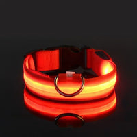 Hundehalsband aus Nylon mit LED-Beleuchtung für mehr Sicherheit bei Nacht, leuchtet im Dunkeln – Rot