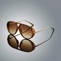 Leon | Elegante Aviator Sonnenbrille im Herrenstil – Braun
