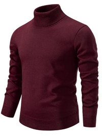 Klassischer warmer Herrenpullover | Rollkragen – Rot